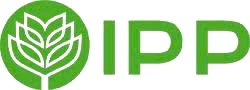 IPP