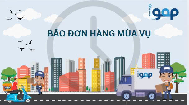 GIAO HÀNG MÙA CAO ĐIỂM